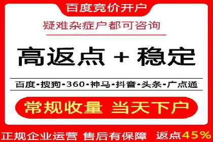 某品牌SEM推广策略的成效与启示